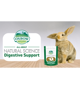 Ismerkedjetek meg a Natural Science Digestive Support táplálékkiegészítővel